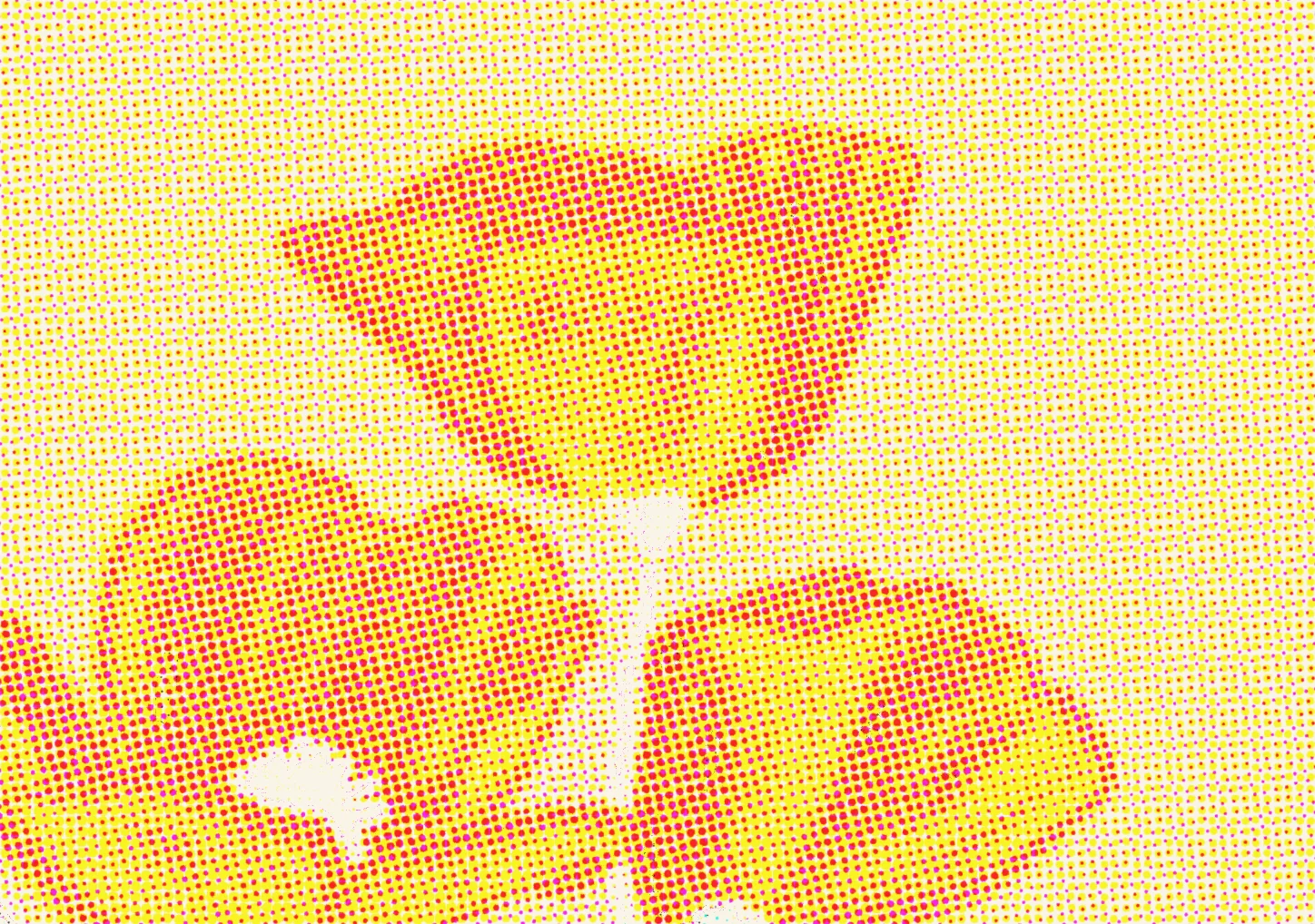 EDGE #1 — A New Chapter